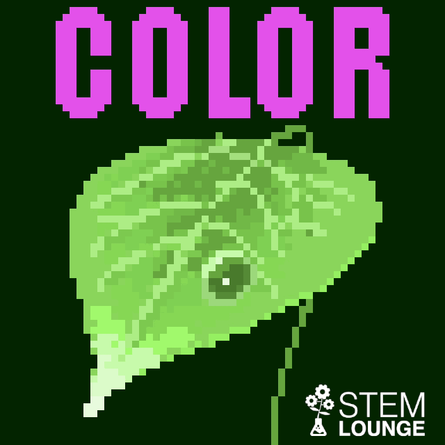Why Objects have Colors - Illustration - Animation